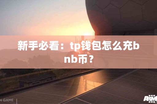 新手必看：tp钱包怎么充bnb币？